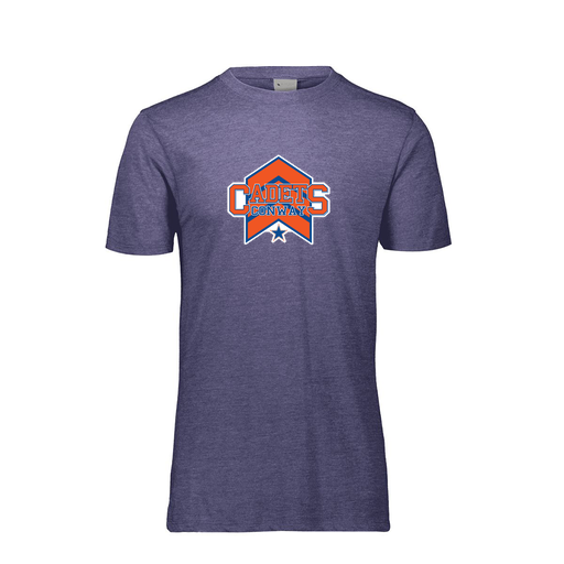 [3065-6310-RYL-AS-LOGO1] Men's TriBlend T-Shirt (Adult S, Royal, Logo 1)